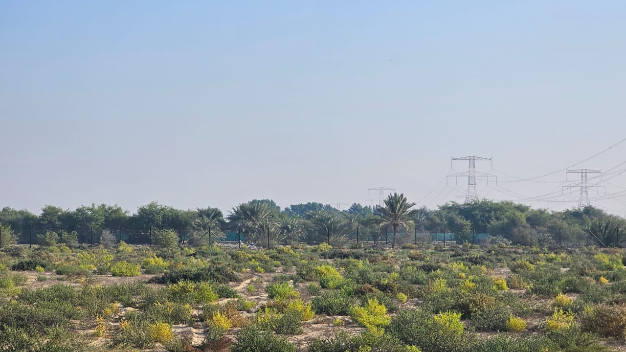 للبيع مزرعة في الباهية أبوظبي علي الشارع الرئيسي